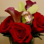 IMG_2548